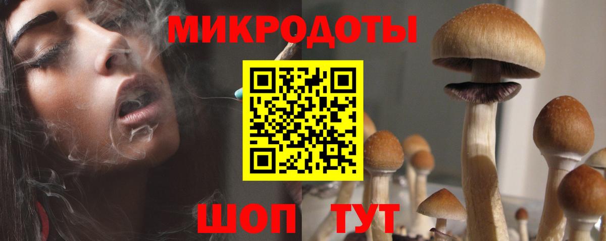 Псилоцибиновые грибы Psilocybe Карпинск
