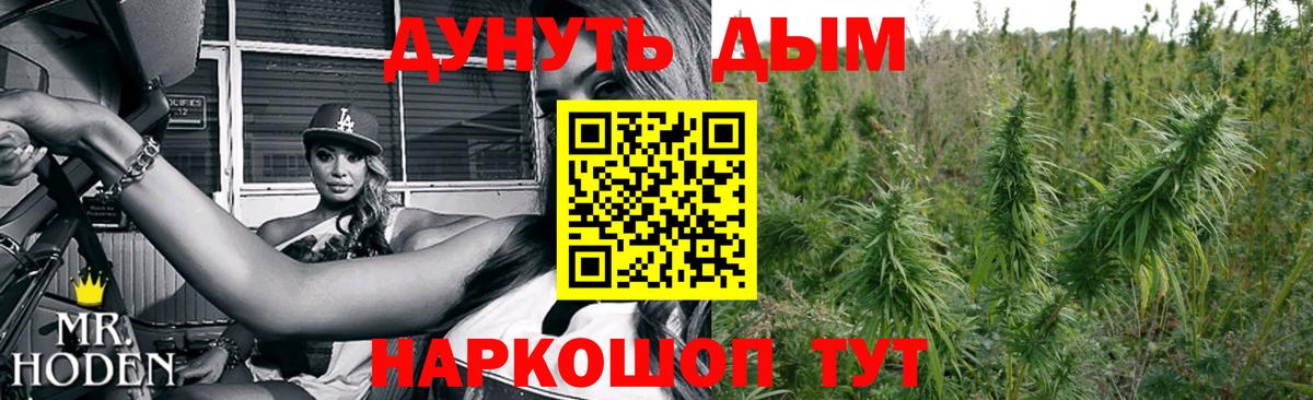 Конопля индика Карпинск